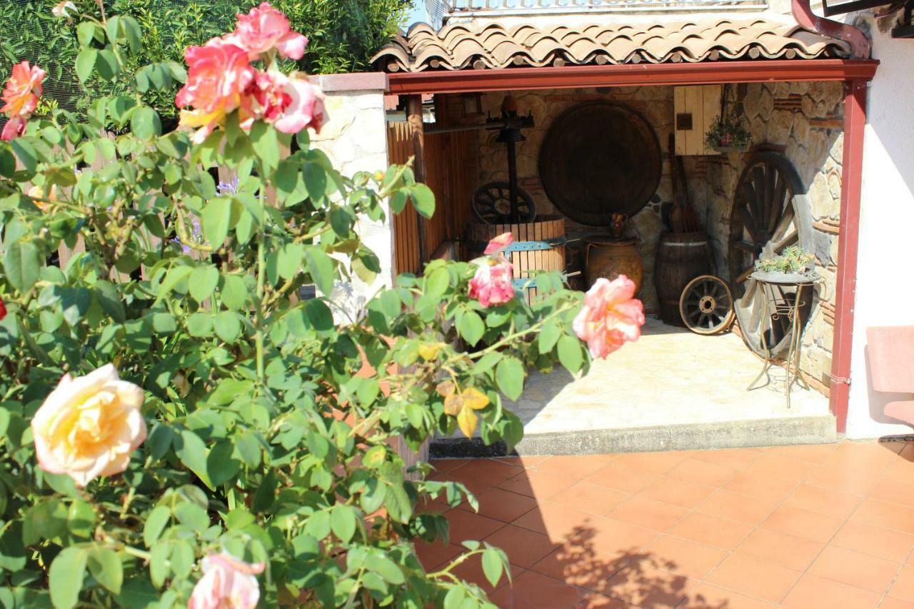 B&B La Vigna Lamezia Terme Bagian luar foto