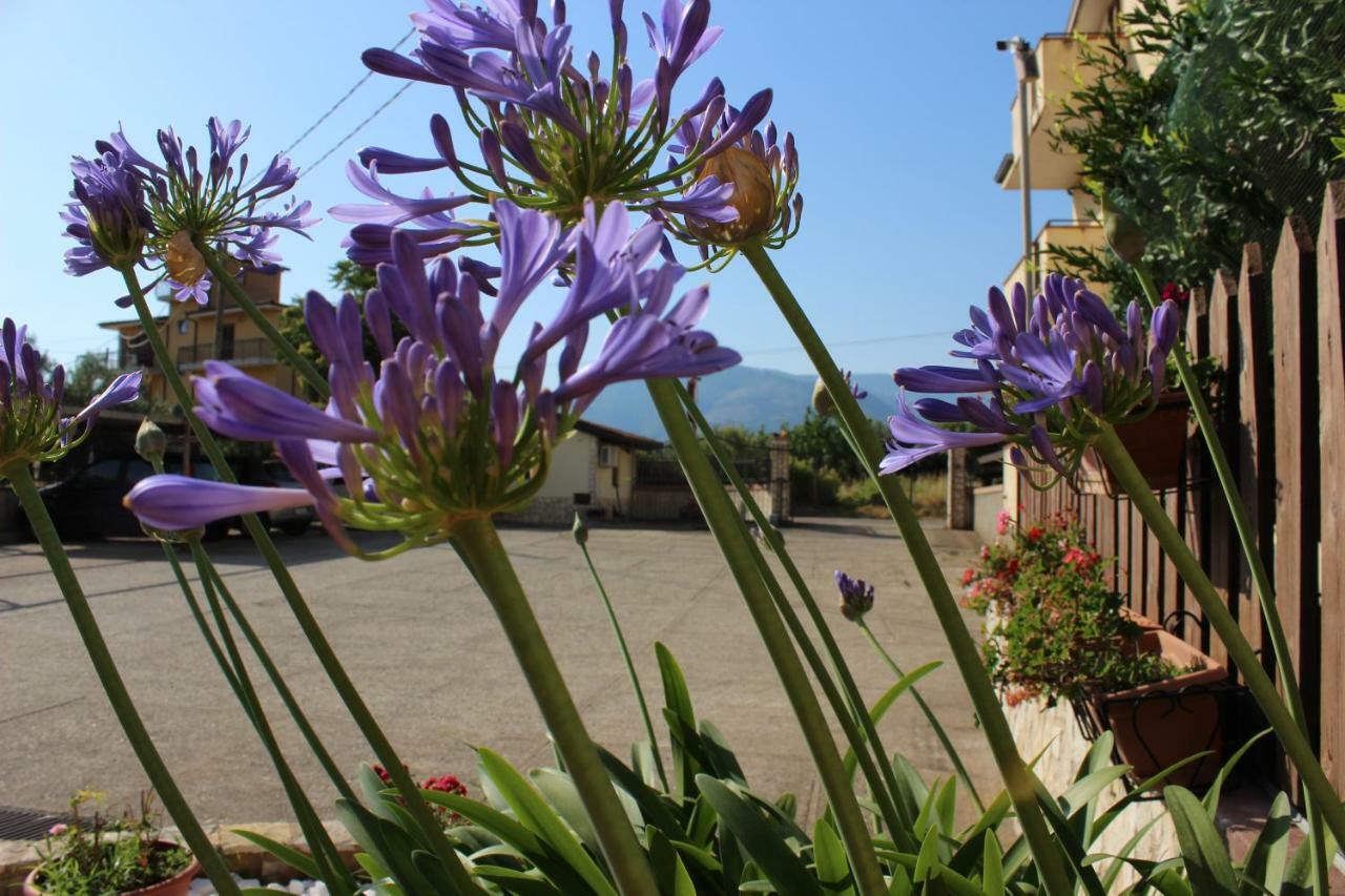 B&B La Vigna Lamezia Terme Bagian luar foto